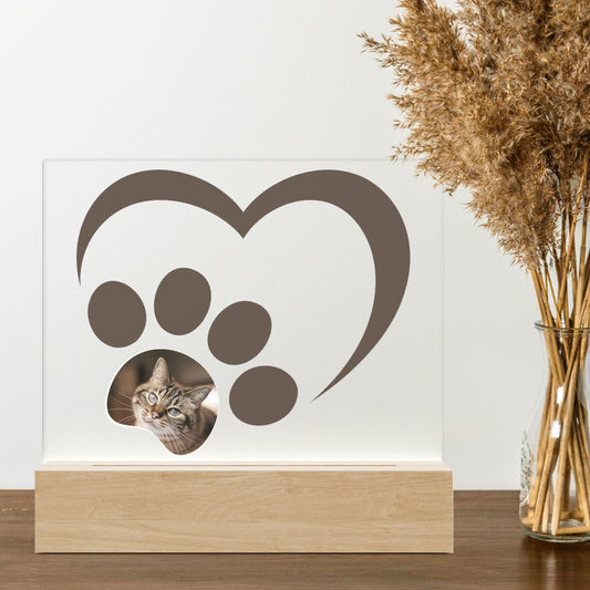 Kattenpoot - hart - 3D Led Lamp